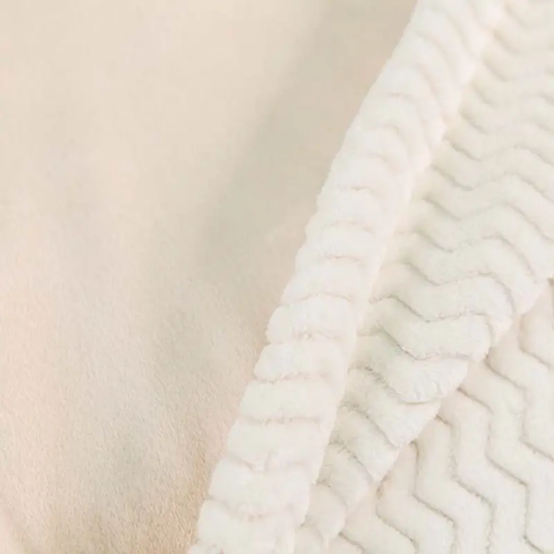 Double Flannel Home Heavy Microplush Blanket