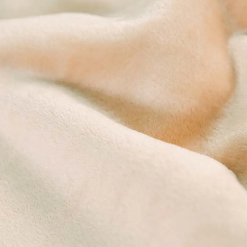 Double Flannel Home Heavy Microplush Blanket