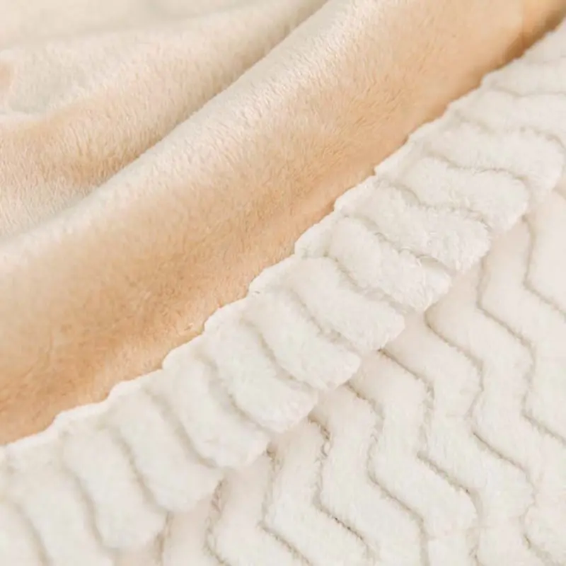 Double Flannel Home Heavy Microplush Blanket